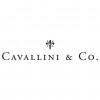 Cavallini & Co