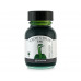 Write and Draw Ink - Green Ostrich 50ml