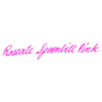 Avian - Roseate Spoonbill Pink 44ml