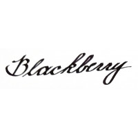 Lamy Blackberry 50ml ink
