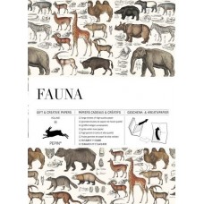 Gift and Creative Papers - Fauna