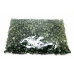 Fern green wax, pellets - 500g