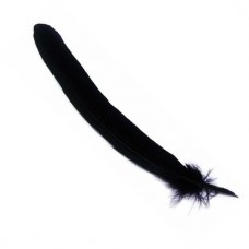 Goose quill, Blue