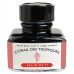 Corail des Tropiques 10ml