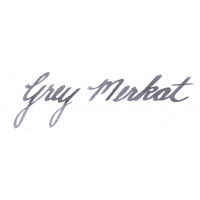 Write and Draw Ink - Grey Merkat 50ml
