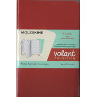 Volant Large Ruled Journals Set of 2, Coral and Aqua